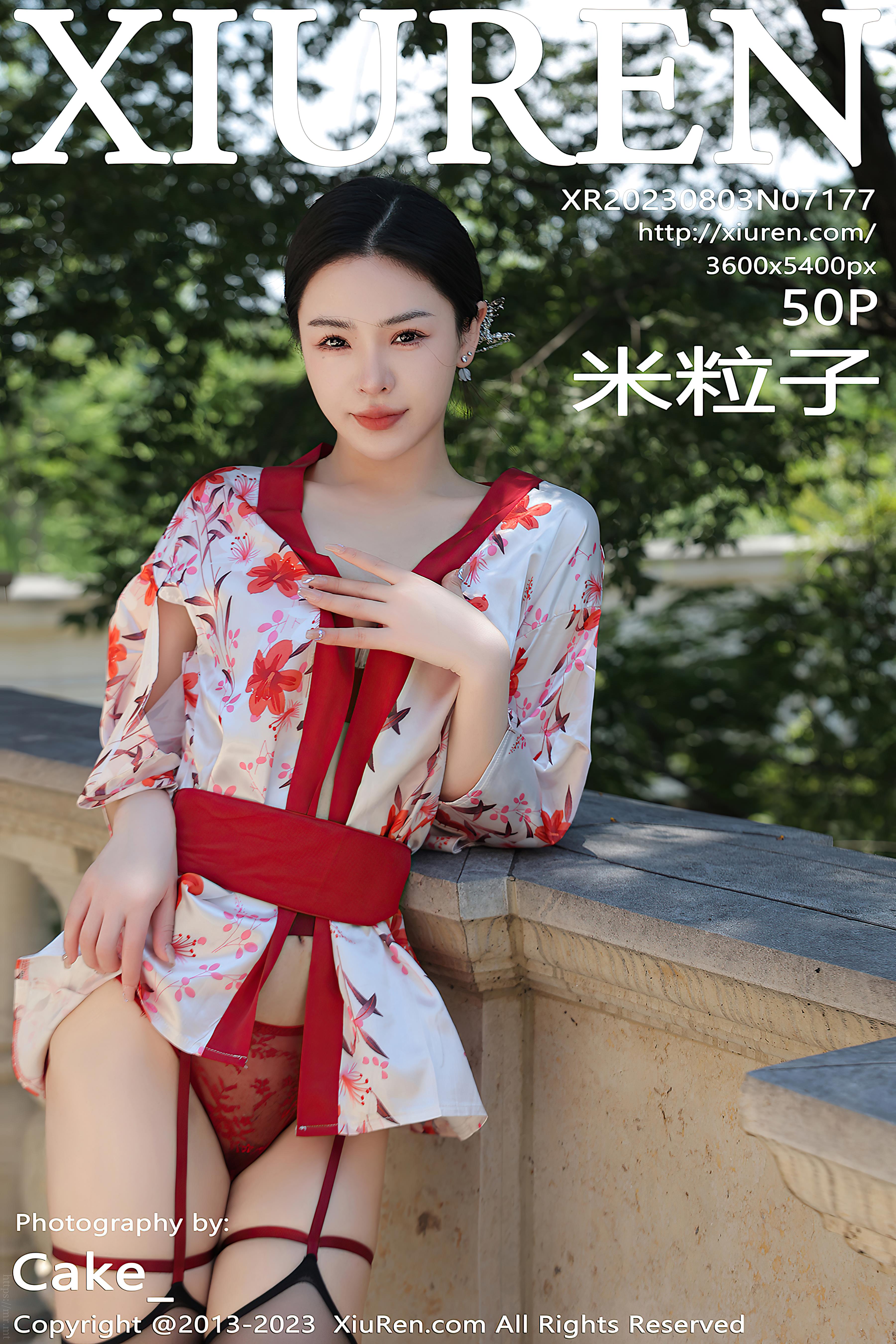 No.7177 米粒子 [51P512MB]